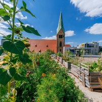 Ein urbaner Garten mit Sonnenblumen und anderen Pflanzen, im Hintergrund die Leonhardskirche und moderne Geb&auml;ude unter blauem Himmel., &copy; Thomas Niederm&uuml;ller