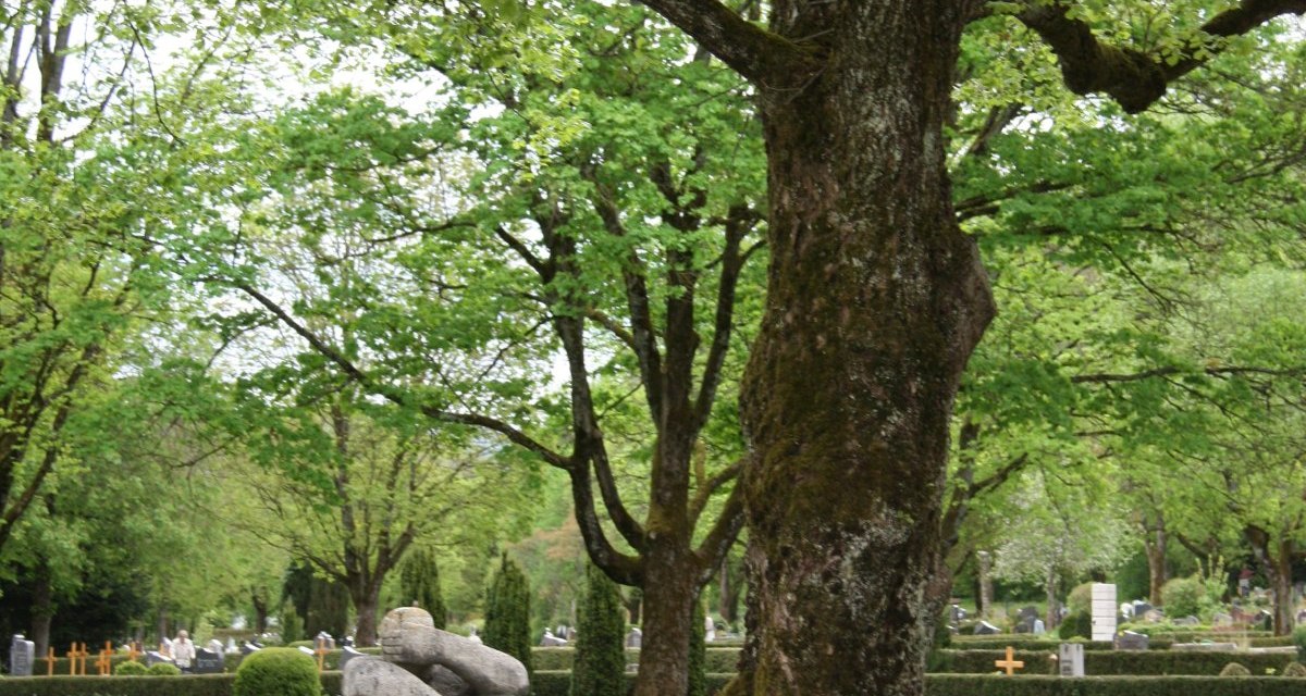 Figur des Trauernden von Wilhelm Fehrle auf dem Dreifaltigkeitsfriedhof, &copy; Touristik und Marketing GmbH Schw&auml;bisch Gm&uuml;nd