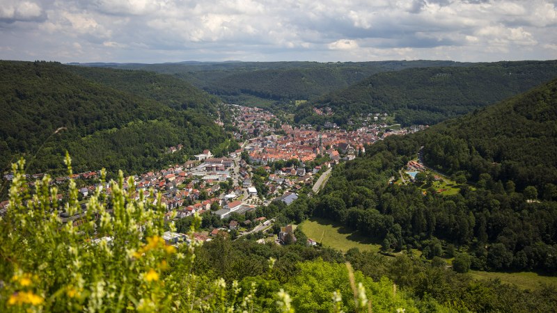 Panoramablick auf Bad Urach, eingebettet in grüne Hügel und Wälder, mit blühenden Pflanzen im Vordergrund., © Bad Urach Tourismus Panoramablick auf Bad Urach, eingebettet in grüne Hügel und Wälder, mit blühenden Pflanzen im Vordergrund., © Bad Urach Tourismus