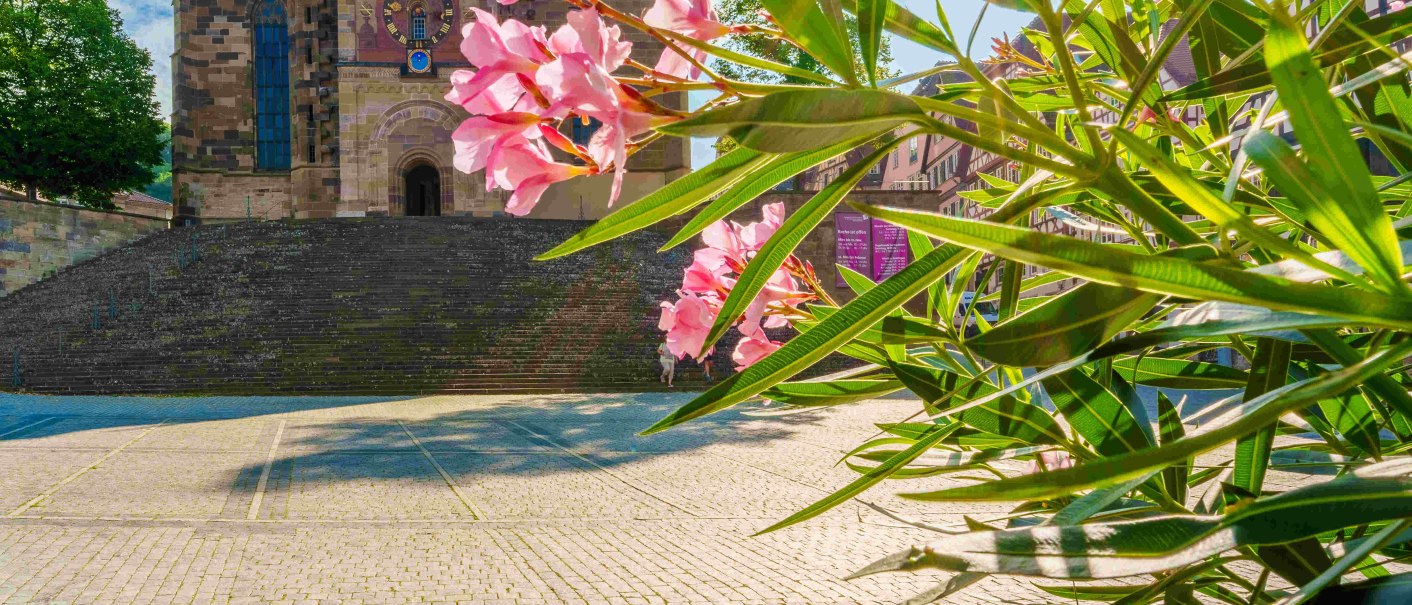 Kirche St. Michael Schw&auml;bisch Hall, &copy; Michael K&uuml;hneisen