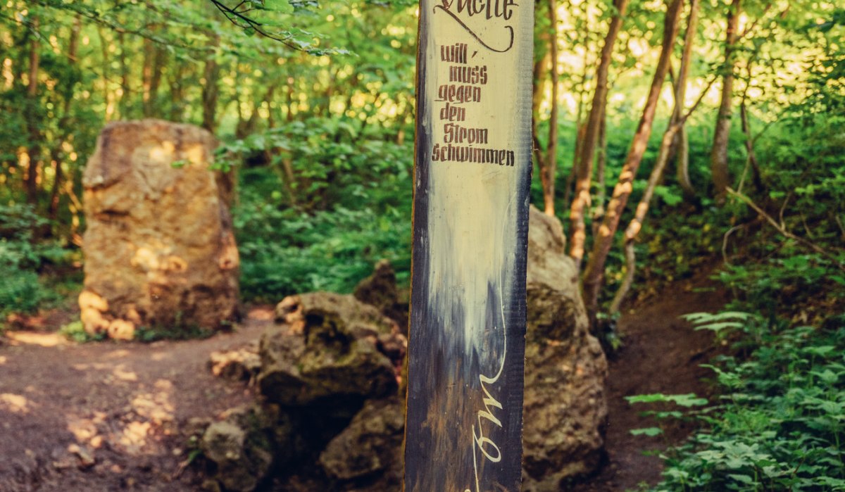 Ein Holzpfosten mit der Inschrift 'Wer zur Quelle will, muss gegen den Strom schwimmen' steht in einem grünen Wald bei Essingen., © Tourismus Ostalb, Fotograf: Christian Frumolt