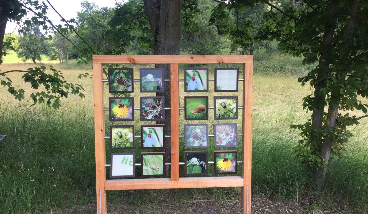 Ein XXL-Memory-Spiel mit Naturmotiven steht zwischen Bäumen auf einer Wiese. Es zeigt Bilder von Insekten und Pflanzen., © www.pro-cycl.de Ein XXL-Memory-Spiel mit Naturmotiven steht zwischen Bäumen auf einer Wiese. Es zeigt Bilder von Insekten und Pflanzen., © www.pro-cycl.de