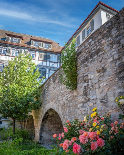Stadtmauer in Backnang, &copy; Ren&eacute; Straube