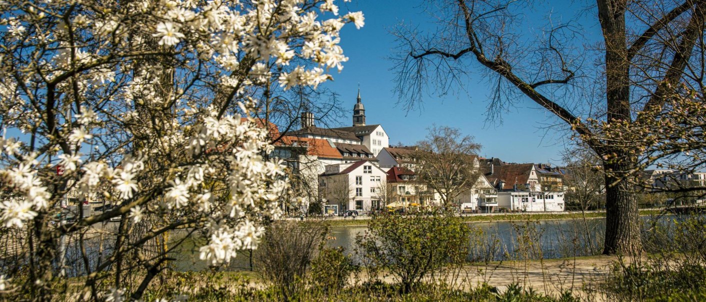 Blühende Bäume im Vordergrund, dahinter der Stadtgarten Böblingen mit Gebäuden und einem Kirchturm unter blauem Himmel., © SMG, Sarah Schmid Blühende Bäume im Vordergrund, dahinter der Stadtgarten Böblingen mit Gebäuden und einem Kirchturm unter blauem Himmel., © SMG, Sarah Schmid