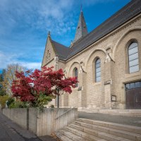 Die Johanneskirche in Backnang mit einem roten Baum im Vordergrund. Der Himmel ist blau mit einigen Wolken., © René Straube Die Johanneskirche in Backnang mit einem roten Baum im Vordergrund. Der Himmel ist blau mit einigen Wolken., © René Straube