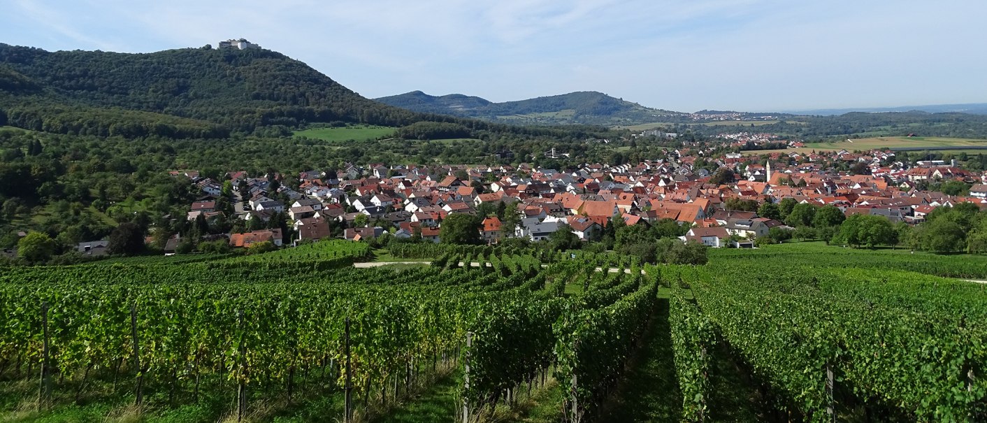 Weinberge in Beuren, © Kurverwaltung / Panorama Therme Beuren