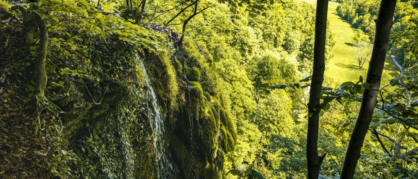 Der Uracher Wasserfall flie&szlig;t &uuml;ber eine mit Moos bewachsene Felswand, umgeben von dichtem, gr&uuml;nem Wald und einem sonnigen Tal im Hintergrund., &copy; Stuttgart-Marketing GmbH, Sarah Schmid
