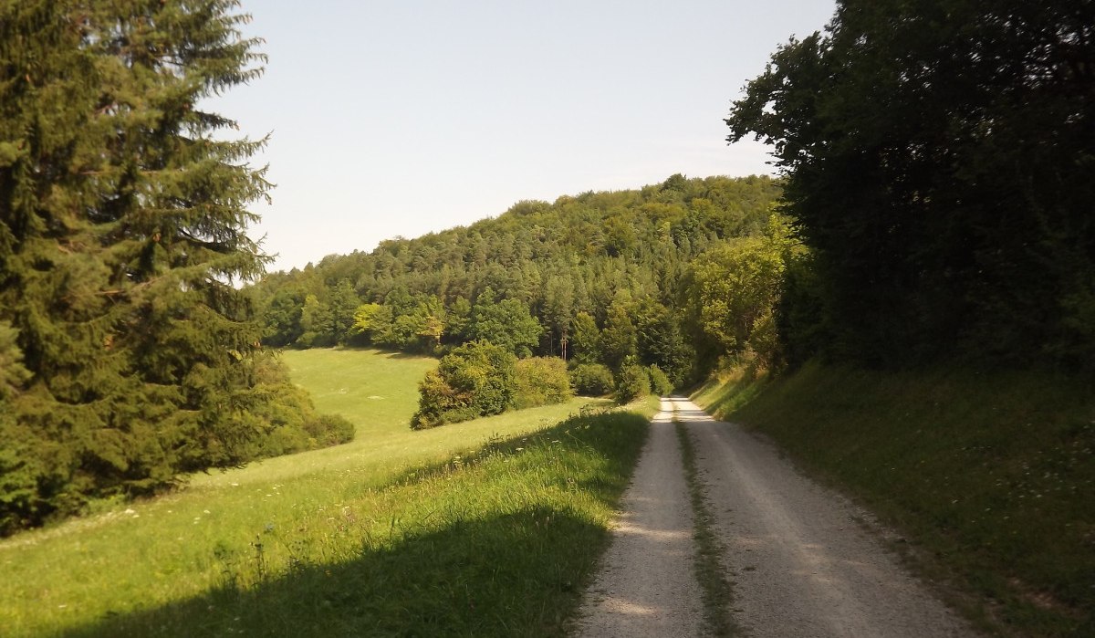 Ein schmaler Weg führt durch eine grüne Landschaft mit Wiesen und Bäumen unter klarem Himmel., © Natur.Nah. Schönbuch & Heckengäu Ein schmaler Weg führt durch eine grüne Landschaft mit Wiesen und Bäumen unter klarem Himmel., © Natur.Nah. Schönbuch & Heckengäu