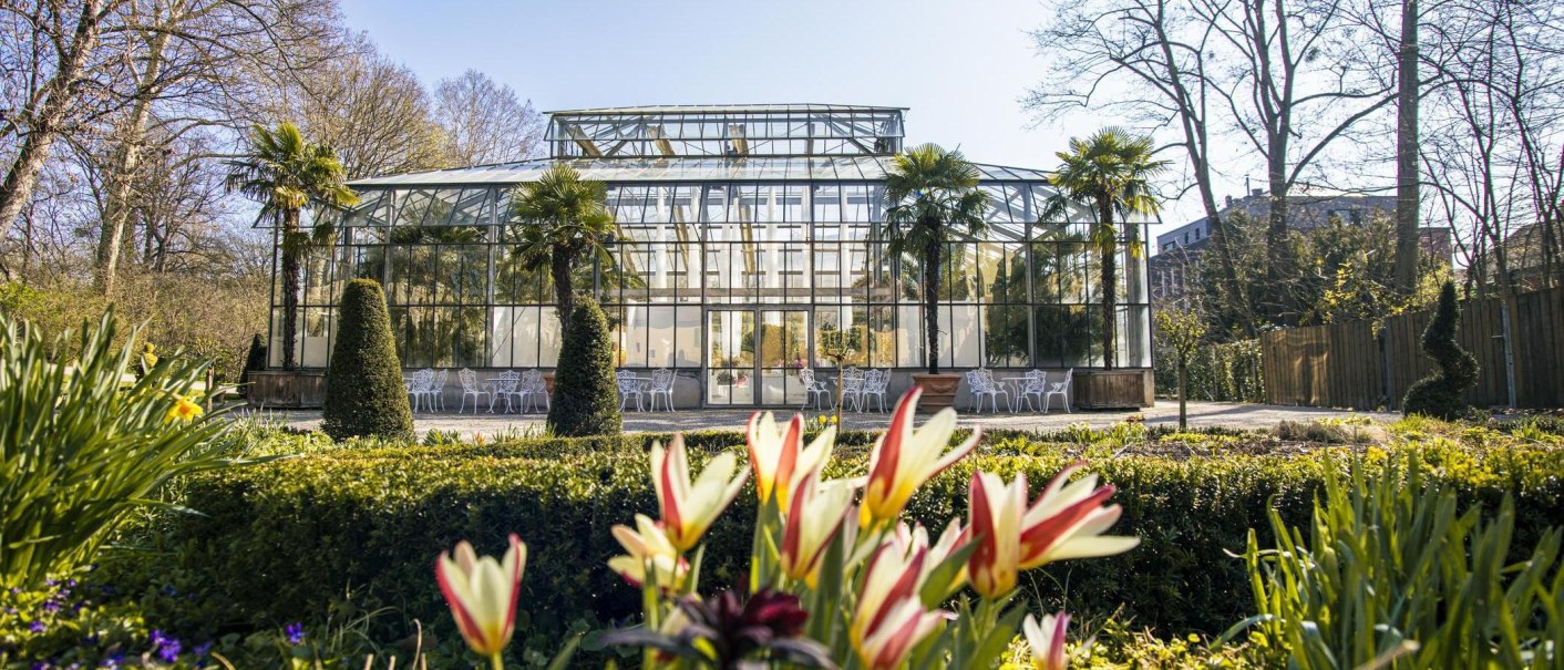 Gewächshaus im Blühenden Barock Ludwigsburg, umgeben von Palmen und blühenden Blumen. Ein sonniger Tag mit klarer Sicht auf die Glasstruktur., © SMG, Sarah Schmid Gewächshaus im Blühenden Barock Ludwigsburg, umgeben von Palmen und blühenden Blumen. Ein sonniger Tag mit klarer Sicht auf die Glasstruktur., © SMG, Sarah Schmid