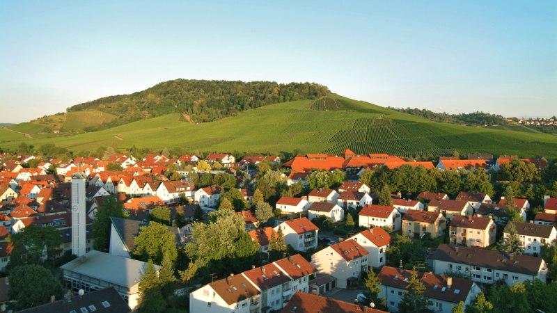 Blick auf Fellbach mit roten Dächern und grünen Weinbergen im Hintergrund bei klarem Himmel.