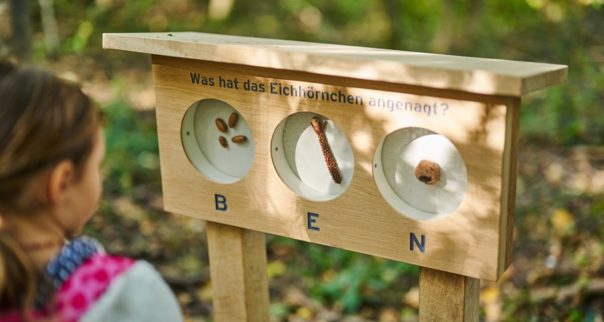 Ein Kind steht vor einem hölzernen Stationsschild im Wald. Das Schild fragt: 'Was hat das Eichhörnchen angenagt?' mit drei Optionen zur Auswahl., © Natur.Nah. Schönbuch & Heckengäu Ein Kind steht vor einem hölzernen Stationsschild im Wald. Das Schild fragt: 'Was hat das Eichhörnchen angenagt?' mit drei Optionen zur Auswahl., © Natur.Nah. Schönbuch & Heckengäu