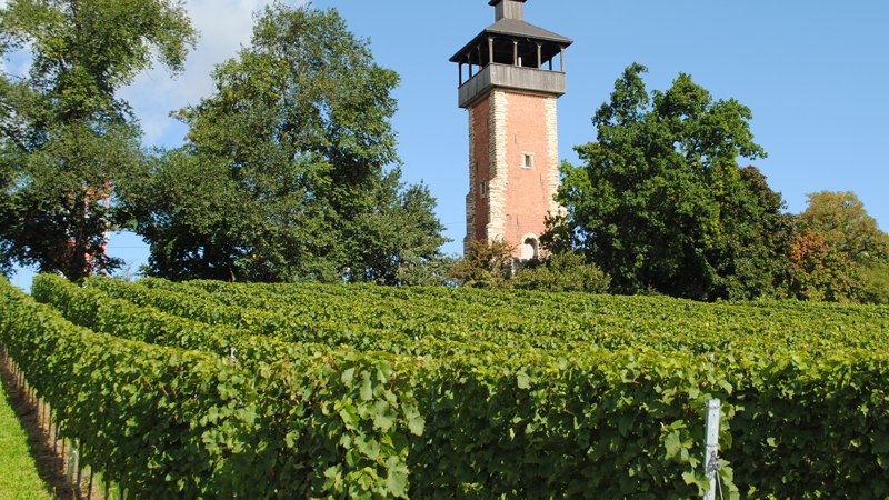 Weingut Peter Mayer, &copy; Weingut Peter Mayer