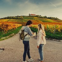 Unterwegs am Michaelsberg | Cleebronn, © Touristikgemeinschaft HeilbronnerLand e.V. Unterwegs am Michaelsberg | Cleebronn, © Touristikgemeinschaft HeilbronnerLand e.V.