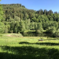 Blick auf den Lautenhofweiher, © Nördlicher Schwarzwald
