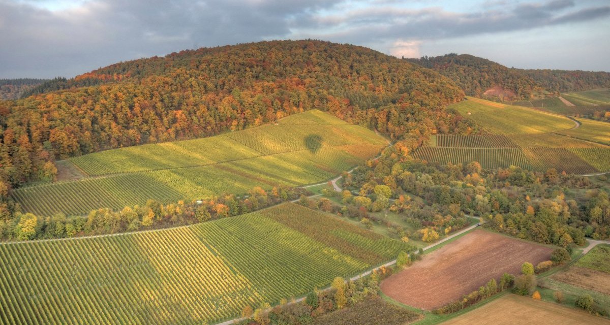 Hohenhaslach, © Naturpark Stromberg-Heuchelberg Hohenhaslach, © Naturpark Stromberg-Heuchelberg