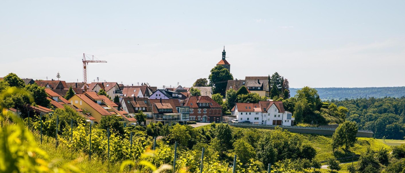 Blick auf Winnenden mit Kirche und Baukran, umgeben von grüner Landschaft und Weinbergen unter blauem Himmel., © Stuttgart-Marketing GmbH, Sarah Schmid Blick auf Winnenden mit Kirche und Baukran, umgeben von grüner Landschaft und Weinbergen unter blauem Himmel., © Stuttgart-Marketing GmbH, Sarah Schmid