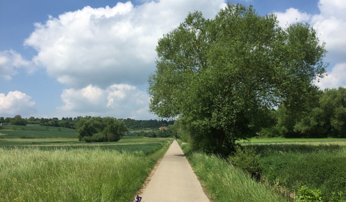 Radweg durch grüne Landschaft mit Bäumen und Wiesen, blauer Himmel mit Wolken., © www.pro-cycl.de Radweg durch grüne Landschaft mit Bäumen und Wiesen, blauer Himmel mit Wolken., © www.pro-cycl.de