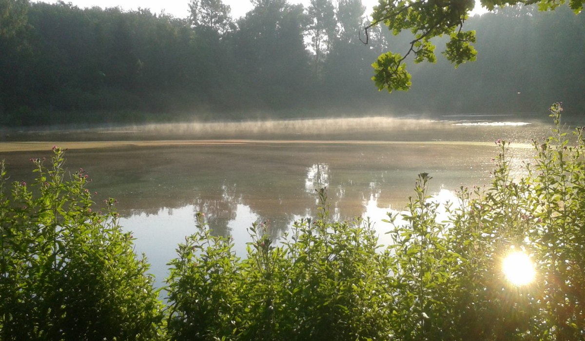 Hölzer See bei Magstadt, © Natur.Nah. Schönbuch & Heckengäu