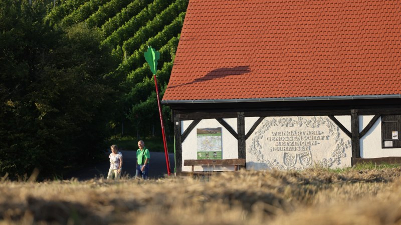 Ein Fachwerkgeb&auml;ude mit rotem Dach, daneben zwei Personen. Im Hintergrund sind Weinberge zu sehen. Auf der Wand steht "Weing&auml;rtnergenossenschaft Metzingen-Neuhausen".