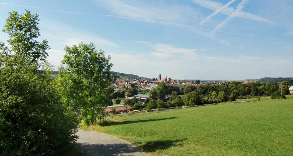 Stadtansicht Weil der Stadt, &copy; Natur.Nah. Sch&ouml;nbuch & Heckeng&auml;u