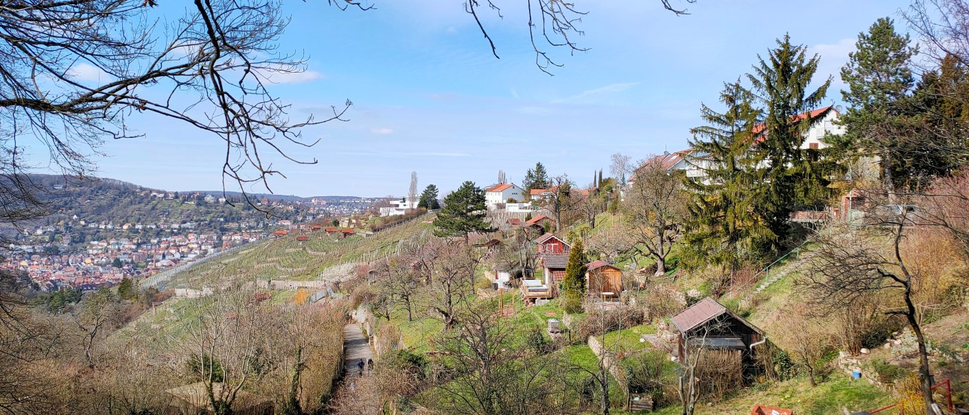 Hügelige Landschaft mit Weinbergen und kleinen Hütten, im Hintergrund eine Stadt. Bäume ohne Blätter rahmen das Bild ein, blauer Himmel., © SMG