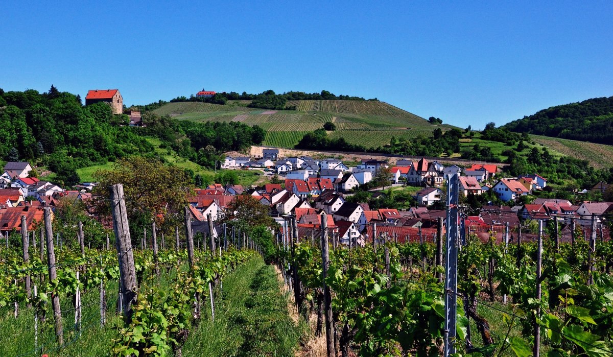 Panoramasicht auf die Gemeine Cleebronn, &copy; Gemeinde Cleebronn