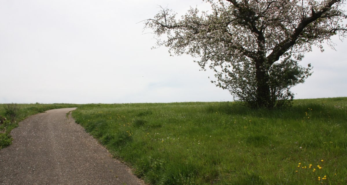 Zur Hochfläche Straßdorf, © Touristik und Marketing GmbH Schwäbisch Gmünd Zur Hochfläche Straßdorf, © Touristik und Marketing GmbH Schwäbisch Gmünd