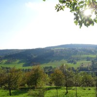 Grüne Hügel und Bäume im Vordergrund, Sonnenlicht scheint durch Blätter. Aussichtspunkt Ellenberg., © Stadt Schorndorf