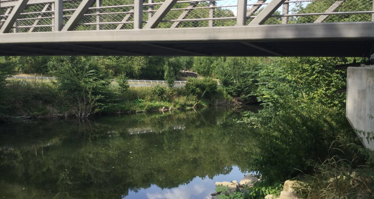 Eine moderne Brücke überspannt einen ruhigen Fluss, umgeben von dichter Vegetation und Bäumen., © Herde Eine moderne Brücke überspannt einen ruhigen Fluss, umgeben von dichter Vegetation und Bäumen., © Herde