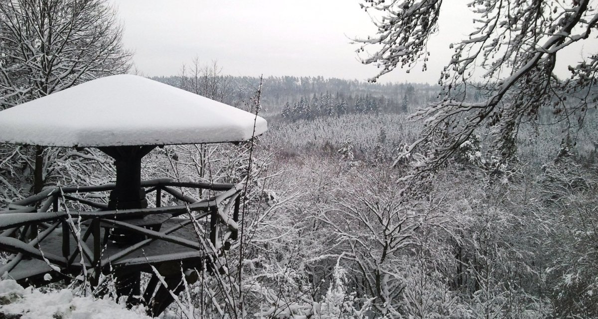Ein schneebedeckter Aussichtspunkt im Wald bietet einen Blick auf eine winterliche Landschaft mit verschneiten Bäumen und einem grauen Himmel., © Natur.Nah. Schönbuch & Heckengäu Ein schneebedeckter Aussichtspunkt im Wald bietet einen Blick auf eine winterliche Landschaft mit verschneiten Bäumen und einem grauen Himmel., © Natur.Nah. Schönbuch & Heckengäu