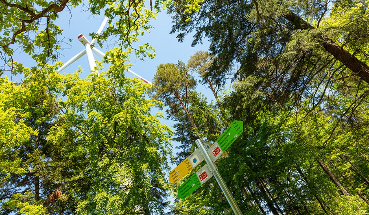 Ein Wegweiser im Wald zeigt verschiedene Richtungen an. Im Hintergrund ist ein Windrad zu sehen, umgeben von grünen Bäumen und blauem Himmel.