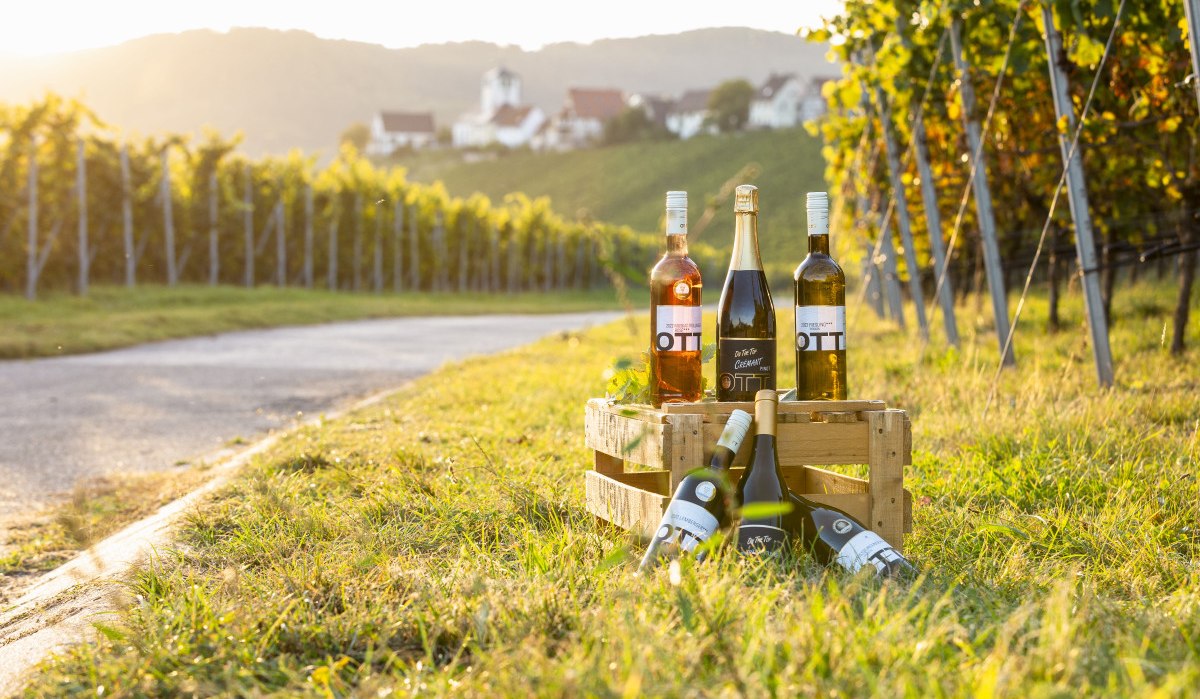 Weinflaschen im Weinberg | Sachsenheim | Weingut, © Weingut Kurt und Dietmar Ott Weinflaschen im Weinberg | Sachsenheim | Weingut, © Weingut Kurt und Dietmar Ott
