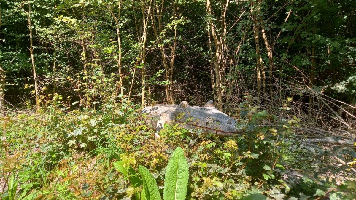 Eine Holzskulptur eines Mastodonsaurus liegt im Wald, umgeben von dichtem Gebüsch und Bäumen, bei sonnigem Wetter.