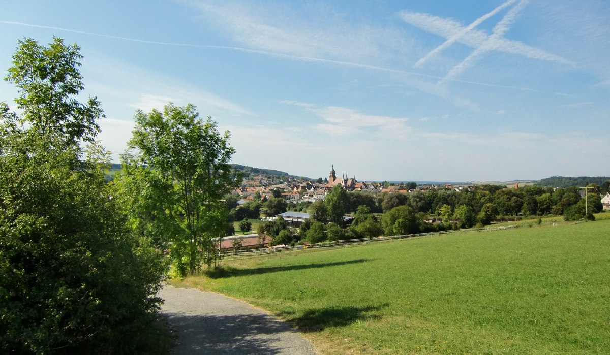 Blick auf eine Stadt mit Kirchturm, umgeben von grünen Feldern und Bäumen unter blauem Himmel., © Natur.Nah. Schönbuch & Heckengäu
