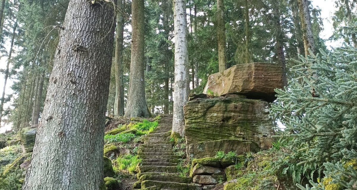 Die Mathildenstaffeln f&uuml;hren steil bergab nach Bad Teinach, &copy; N&ouml;rdlicher Schwarzwald