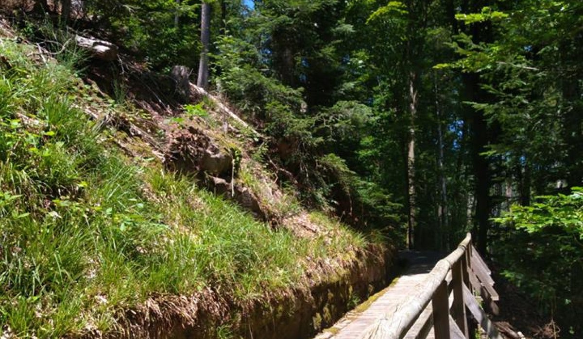 © Nördlicher Schwarzwald © Nördlicher Schwarzwald