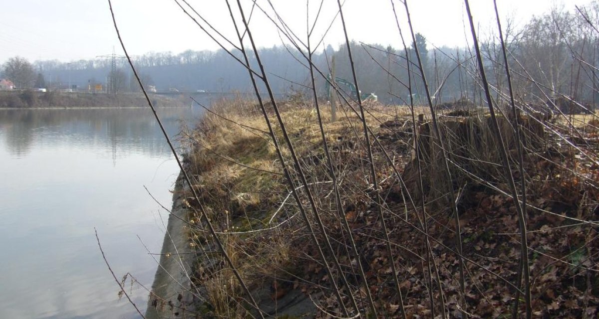 Blick auf das Neckarufer mit kahlen Bäumen und braunem Laub. Der Fluss spiegelt den bewölkten Himmel wider., © Ludwigsburg - Stuttgart-Marketing GmbH Blick auf das Neckarufer mit kahlen Bäumen und braunem Laub. Der Fluss spiegelt den bewölkten Himmel wider., © Ludwigsburg - Stuttgart-Marketing GmbH