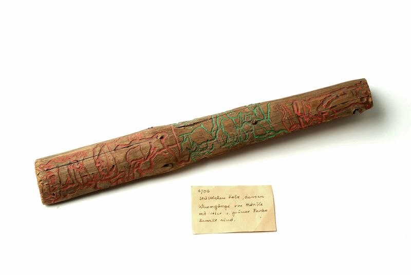 Ein bemalter Holzstab mit roten und grünen Linien, daneben ein handgeschriebener Zettel auf weißem Hintergrund., © Deutsches Literaturarchiv Marbach