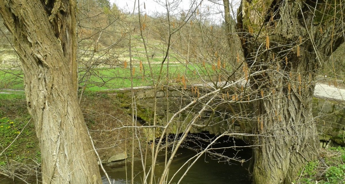 Kleiner Fluss unter alter Steinbrücke, umgeben von kahlen Bäumen und grünem Gras., © Natur.Nah. Schönbuch & Heckengäu Kleiner Fluss unter alter Steinbrücke, umgeben von kahlen Bäumen und grünem Gras., © Natur.Nah. Schönbuch & Heckengäu