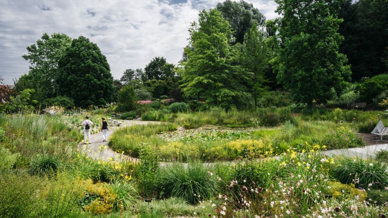 Üppiger Garten mit vielfältiger Vegetation und einem geschwungenen Weg. Zwei Personen spazieren, umgeben von Bäumen und Blumen., © HfWU, M. Stark Üppiger Garten mit vielfältiger Vegetation und einem geschwungenen Weg. Zwei Personen spazieren, umgeben von Bäumen und Blumen., © HfWU, M. Stark