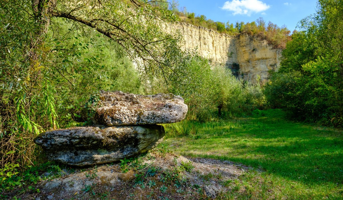 Ein grüner Steinbruch mit üppiger Vegetation, Felsen und Bäumen unter einem klaren blauen Himmel. Ein grüner Steinbruch mit üppiger Vegetation, Felsen und Bäumen unter einem klaren blauen Himmel.