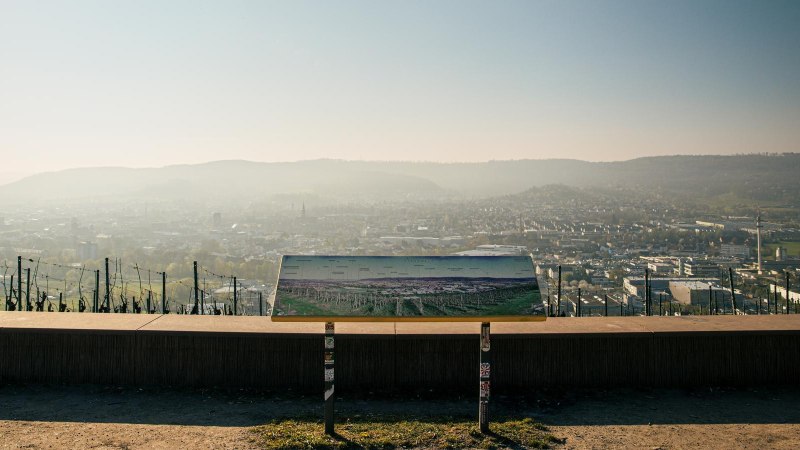 Blick vom Grafenberg auf Schorndorf mit einer Infotafel im Vordergrund. Die Stadt liegt unter einem leicht bew&ouml;lkten Himmel., &copy; Stuttgart-Marketing GmbH, Sarah Schmid