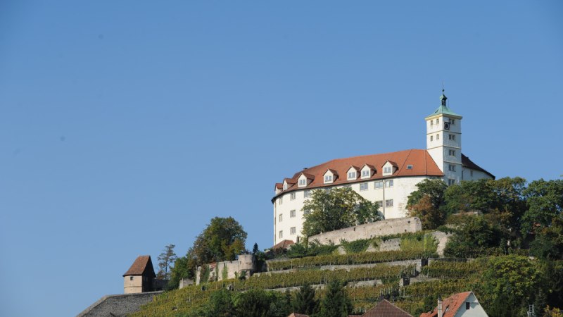 Schloss Kaltenstein thront auf einem Hügel, umgeben von Weinbergen. Im Vordergrund sind traditionelle Häuser zu sehen, der Himmel ist klar und blau., © Land der 1000 Hügel - Kraichgau-Stromberg Schloss Kaltenstein thront auf einem Hügel, umgeben von Weinbergen. Im Vordergrund sind traditionelle Häuser zu sehen, der Himmel ist klar und blau., © Land der 1000 Hügel - Kraichgau-Stromberg