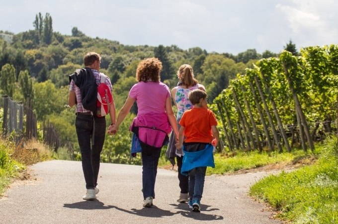 Eine Familie spaziert auf einem Weg durch Weinberge. Die Sonne scheint, und die Landschaft ist gr&uuml;n und h&uuml;gelig., &copy; Cool-Tours StattReisen
