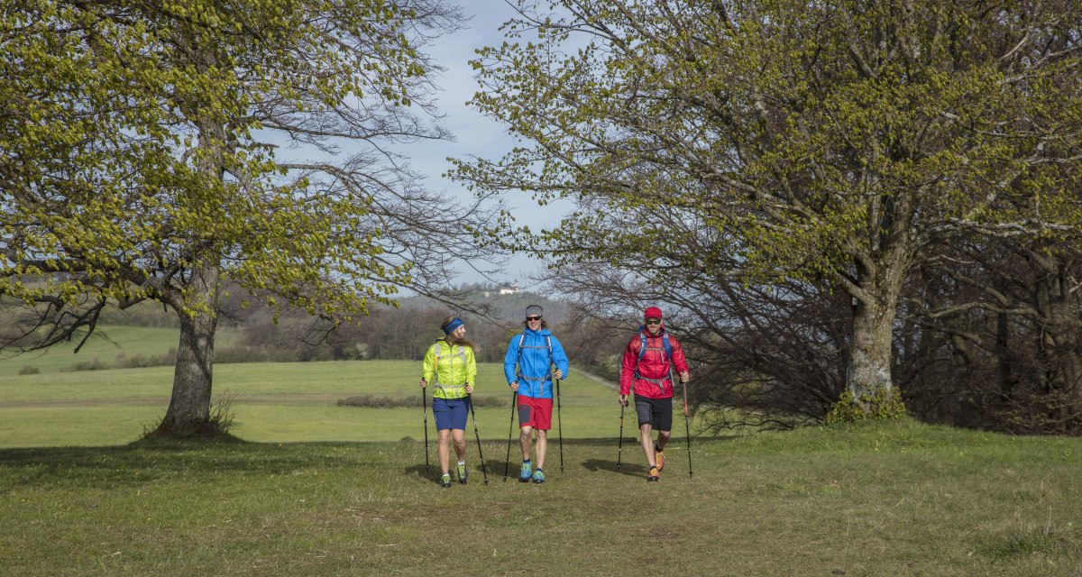 Drei Wanderer in bunter Kleidung gehen mit Stöcken über eine grüne Wiese, umgeben von Bäumen mit frischem Frühlingslaub., © Schwäbische Alb Tourismusverband e.V. Drei Wanderer in bunter Kleidung gehen mit Stöcken über eine grüne Wiese, umgeben von Bäumen mit frischem Frühlingslaub., © Schwäbische Alb Tourismusverband e.V.