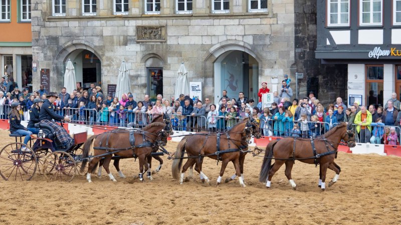 Eine Pferdekutsche mit vier Pferden zieht an einer Menschenmenge vorbei. Die Veranstaltung findet vor einem historischen Geb&auml;ude statt., &copy; F&uuml;r die Bildrechte: Amt f&uuml;r Medien und Kommunikation Schw&auml;bisch Gm&uuml;nd