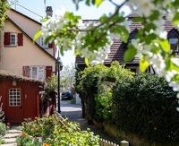 Ein idyllisches Gässchen mit blühenden Bäumen und traditionellen Häusern. Die Szene strahlt Ruhe und Charme aus., © Für die Bildrechte: Amt für Medien und Kommunikation Schwäbisch Gmünd