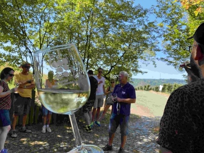 Gruppe bei einer Weinverkostung im Freien. Ein Glas Weißwein wird in den Vordergrund gehalten. Bäume und blauer Himmel im Hintergrund., © Weingenuss Stuttgart