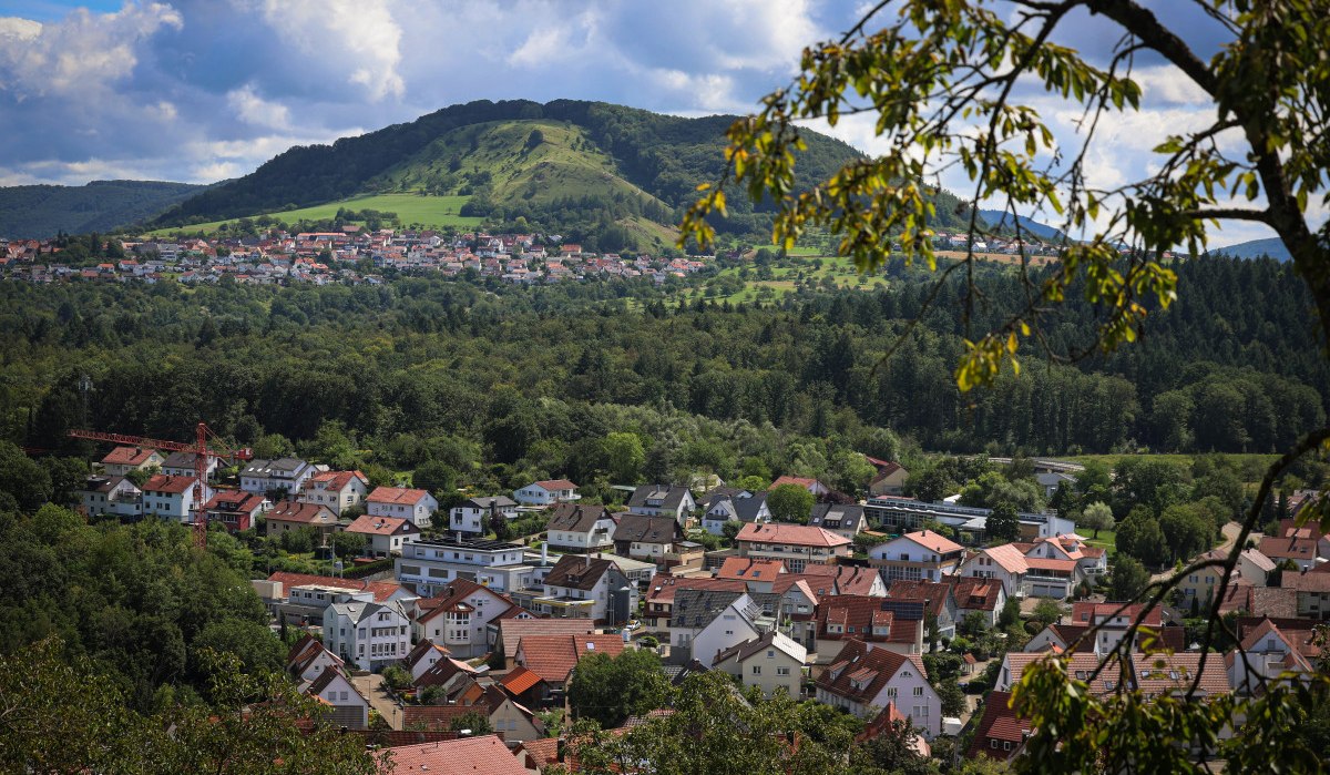 Stadtansicht mit roten Dächern, umgeben von grünen Wäldern und Hügeln im Hintergrund. Ein Baumrahmen im Vordergrund.