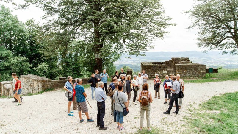 Eine Gruppe von Menschen steht bei einer F&uuml;hrung auf dem Hohenstaufen. Sie sind von B&auml;umen umgeben und h&ouml;ren einem F&uuml;hrer zu.